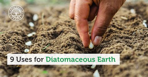 Diatomaceous Earth: Hyvä Ystävä Maataloudelle ja Teollisuudelle!