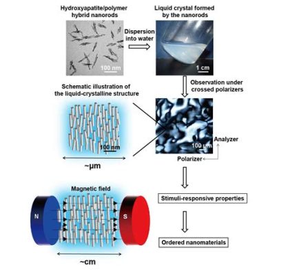  Hydroxyapatiitti: Luonnon inspiroima materiaali lääketieteen ja protetiikan uutta luomista?